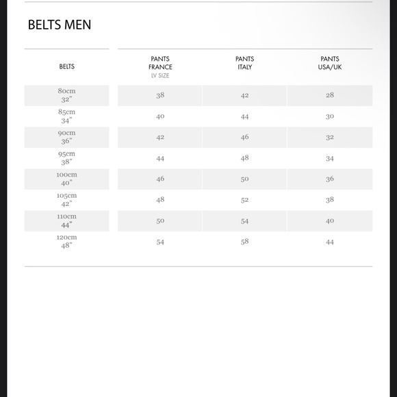 Louis Vuitton Belt - Picture 14 of 14